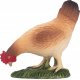 Mojo Huhn Fressend