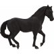 Mojo Andalusischer Hengst, Schwarz