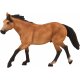 Mojo Buckskin Pferd
