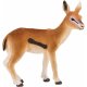 Animal Planet Thomson Gazelle Kalb
