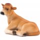 Mojo Jersey Kalb, Liegend