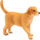 Mojo Golden Retriever Hundewelpen