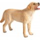 Mojo Labrador
