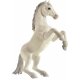 Mojo Mustang Pferd, Wei