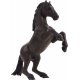 Mojo Mustang Pferd, Schwarz