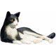 Mojo Katze, Schwarz/Wei